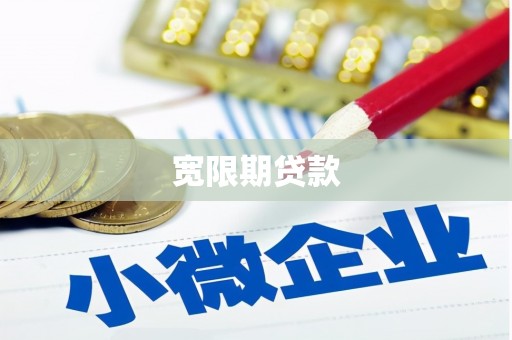成功宽限期贷款