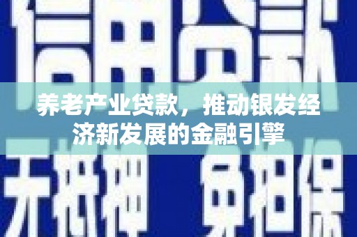 成功养老产业贷款，推动银发经济新发展的金融引擎