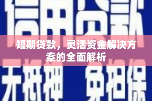 成功短期贷款，灵活资金解决方案的全面解析