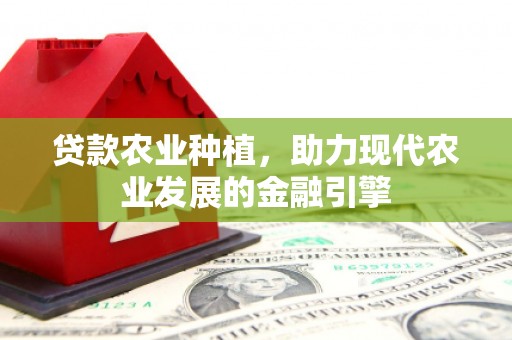 成功贷款农业种植，助力现代农业发展的金融引擎