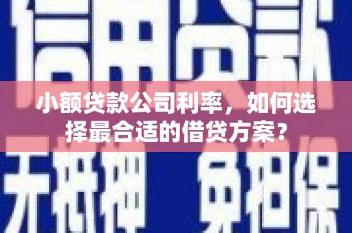 成功小额贷款公司利率，如何选择最合适的借贷方案？
