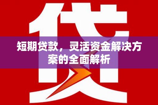 成功短期贷款，灵活资金解决方案的全面解析