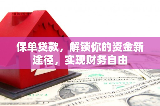 成功保单贷款，解锁你的资金新途径，实现财务自由