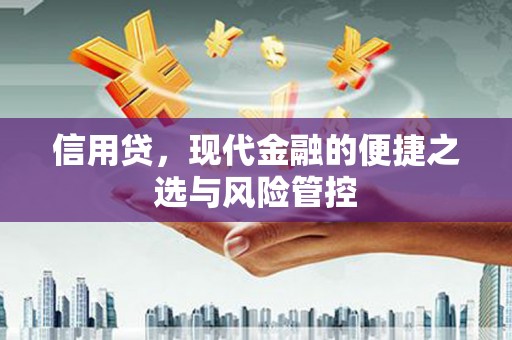 成功信用贷，现代金融的便捷之选与风险管控