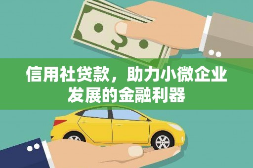 成功信用社贷款，助力小微企业发展的金融利器