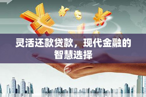 成功灵活还款贷款，现代金融的智慧选择