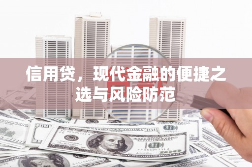 成功信用贷，现代金融的便捷之选与风险防范