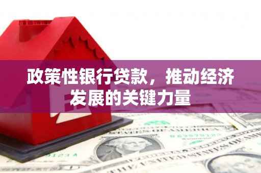 成功政策性银行贷款，推动经济发展的关键力量