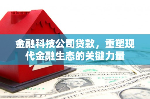 成功金融科技公司贷款，重塑现代金融生态的关键力量