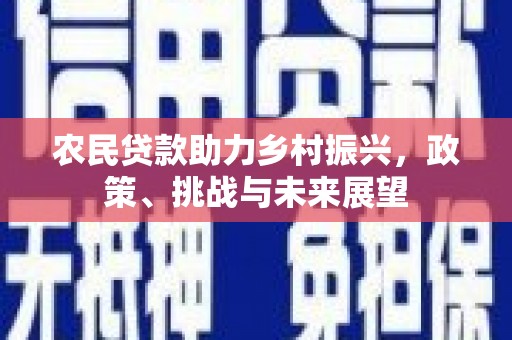 成功农民贷款助力乡村振兴，政策、挑战与未来展望
