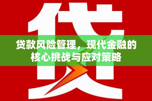 成功贷款风险管理，现代金融的核心挑战与应对策略