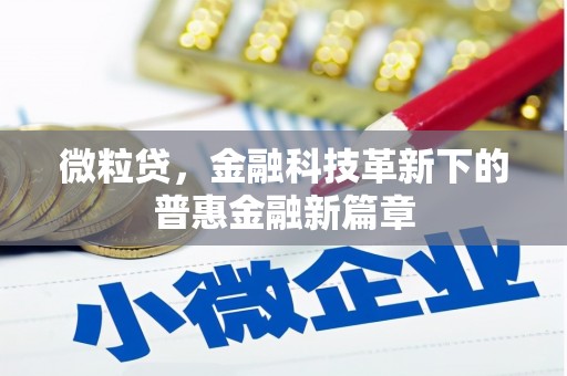 成功微粒贷，金融科技革新下的普惠金融新篇章