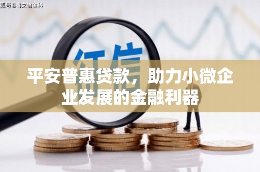 成功平安普惠贷款，助力小微企业发展的金融利器