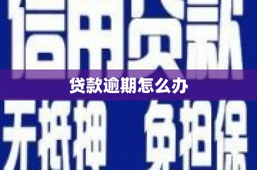 成功贷款逾期怎么办