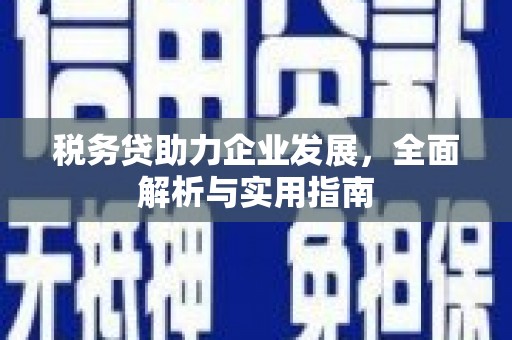 成功税务贷助力企业发展，全面解析与实用指南