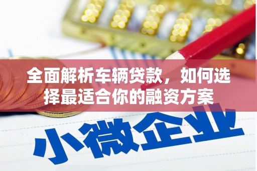 成功全面解析车辆贷款，如何选择最适合你的融资方案