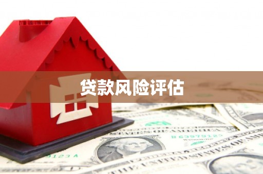 成功贷款风险评估
