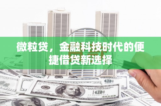 成功微粒贷，金融科技时代的便捷借贷新选择