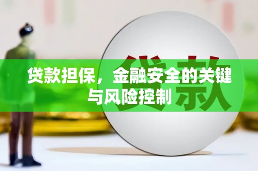 成功贷款担保，金融安全的关键与风险控制