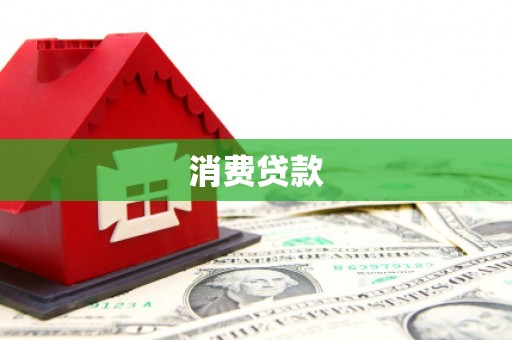 成功消费贷款
