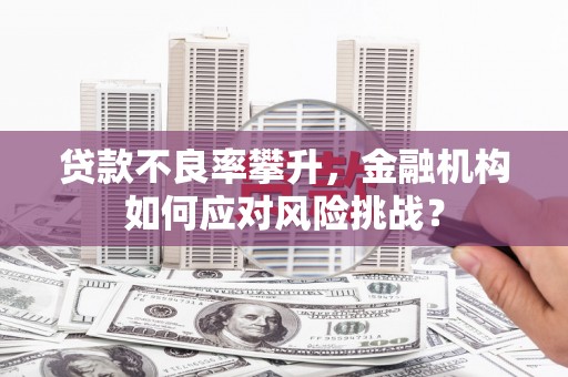 成功贷款不良率攀升，金融机构如何应对风险挑战？