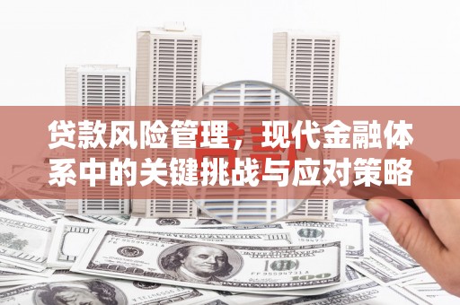 成功贷款风险管理，现代金融体系中的关键挑战与应对策略
