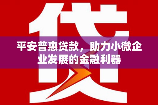 成功平安普惠贷款，助力小微企业发展的金融利器