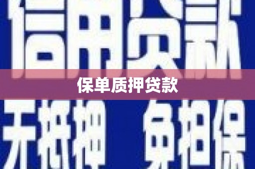 成功保单质押贷款