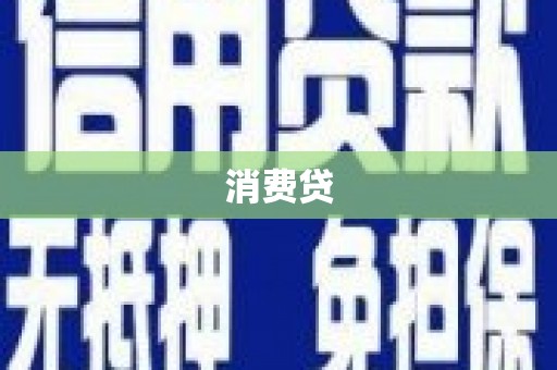 成功消费贷