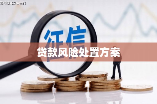 成功贷款风险处置方案