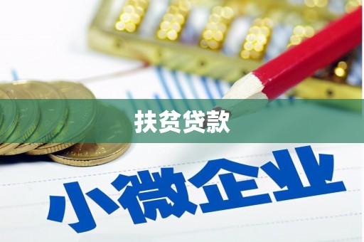 成功扶贫贷款