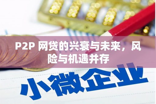 成功P2P 网贷的兴衰与未来，风险与机遇并存