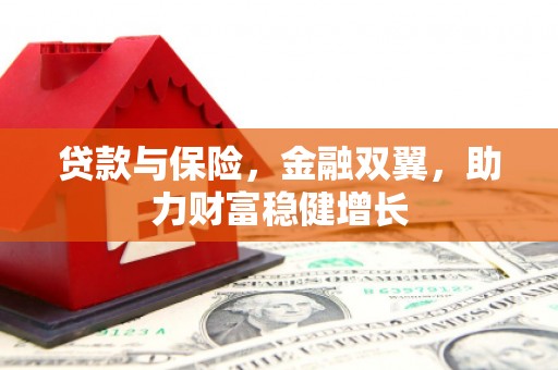 成功贷款与保险，金融双翼，助力财富稳健增长