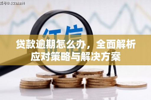 成功贷款逾期怎么办，全面解析应对策略与解决方案