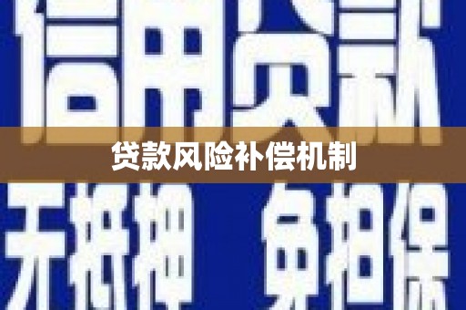 成功贷款风险补偿机制
