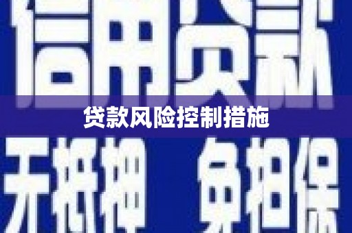 成功贷款风险控制措施