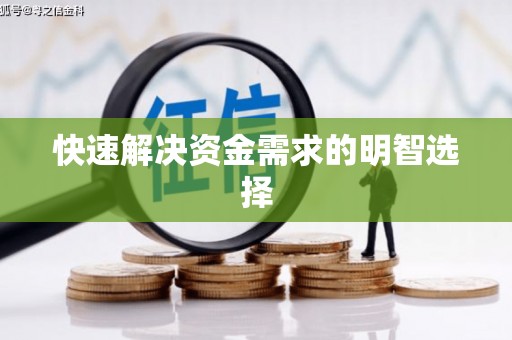 成功快速解决资金需求的明智选择