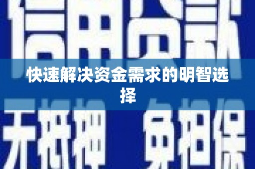 成功快速解决资金需求的明智选择