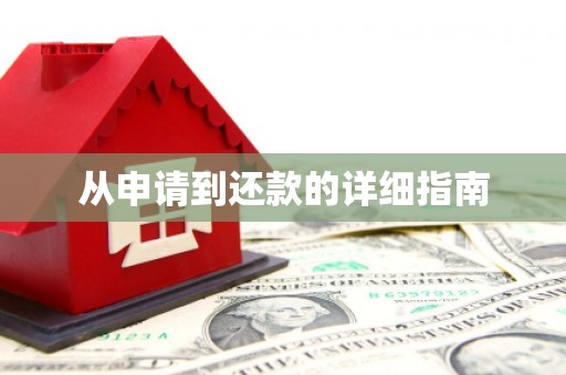 成功从申请到还款的详细指南