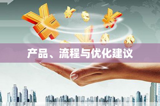 成功产品、流程与优化建议
