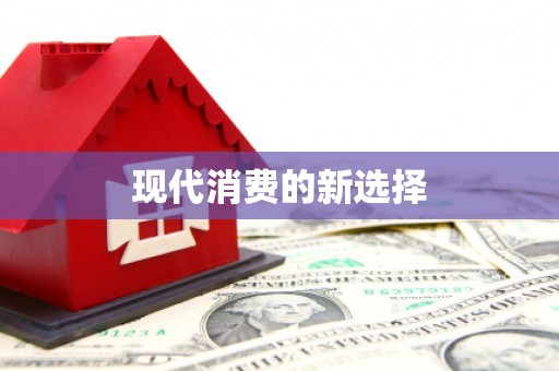 成功现代消费的新选择