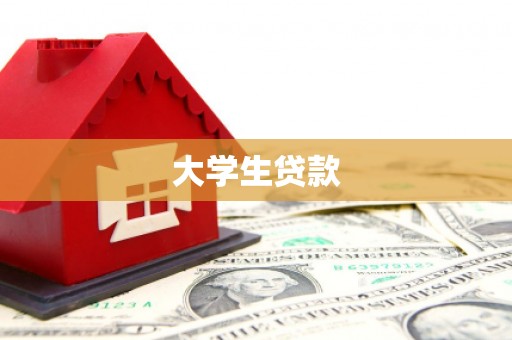 成功大学生贷款