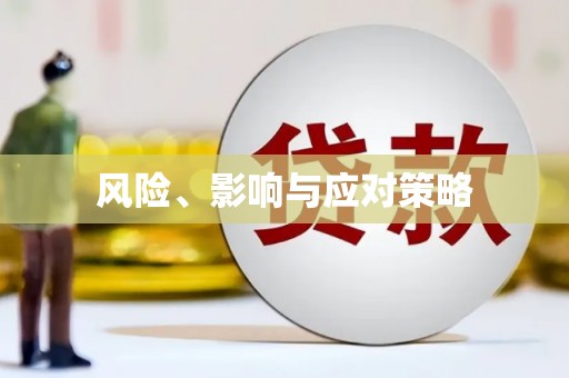 成功风险、影响与应对策略