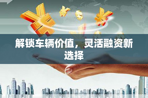 成功解锁车辆价值，灵活融资新选择