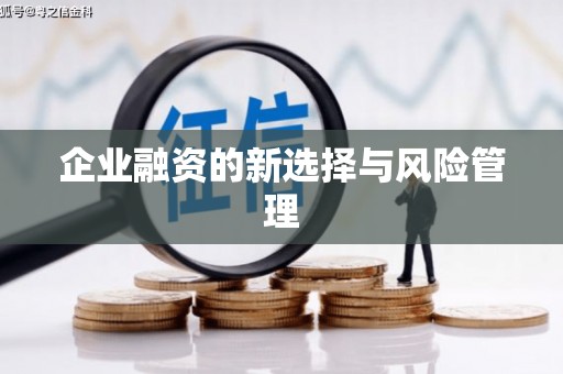 成功企业融资的新选择与风险管理