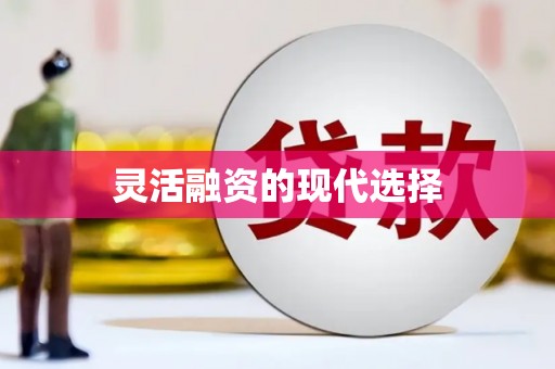 成功灵活融资的现代选择