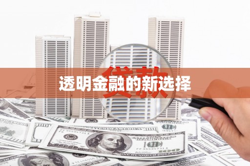 成功透明金融的新选择