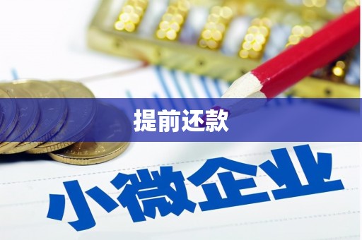 成功提前还款