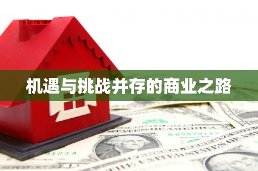 成功机遇与挑战并存的商业之路