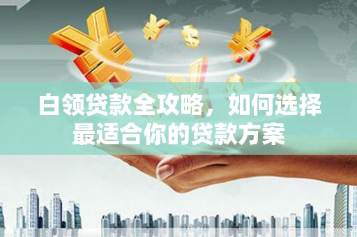 成功白领贷款全攻略，如何选择最适合你的贷款方案
